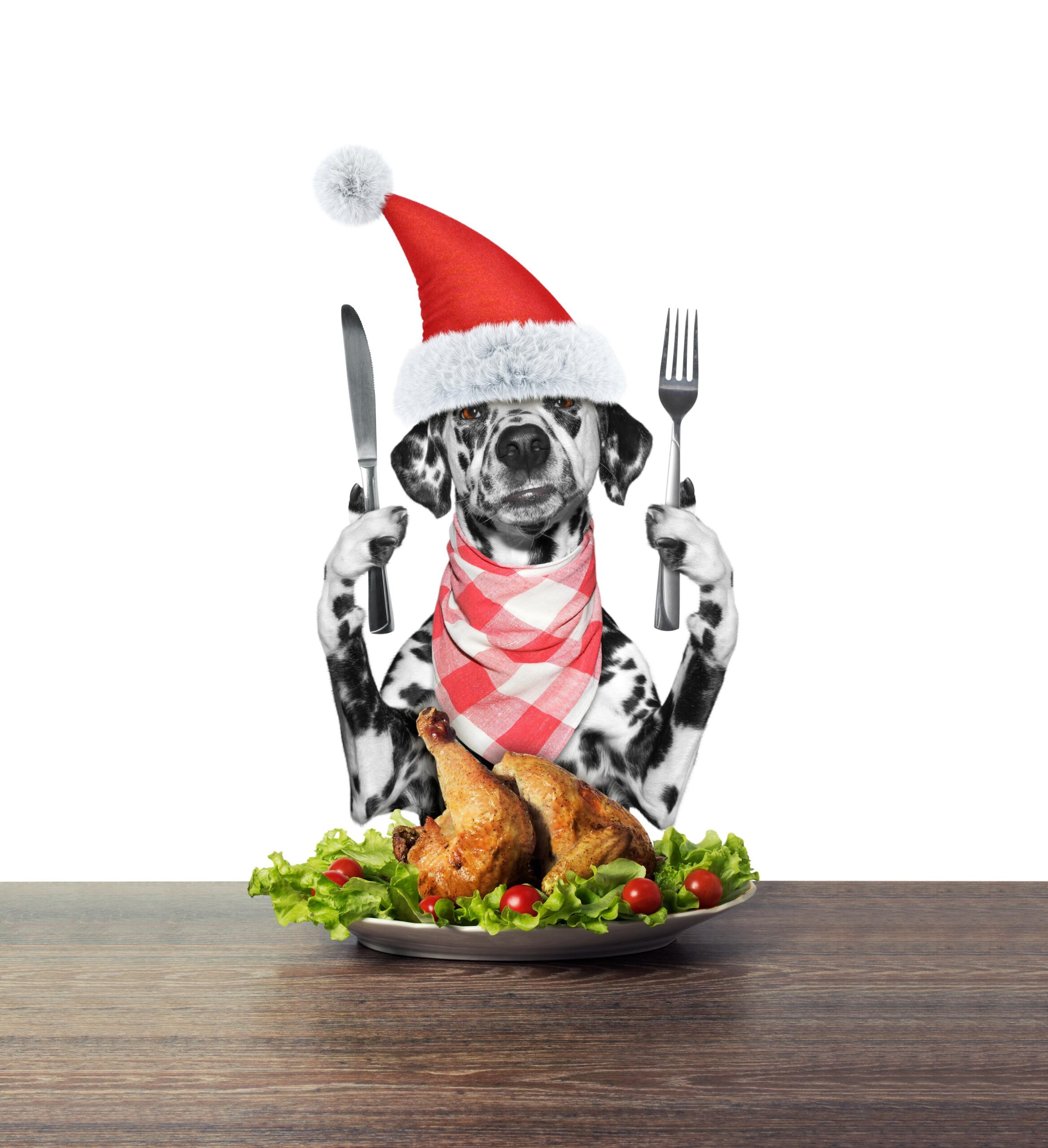 Holiday Feasts and Fidos: The Hidden Threat of Pancreatitis for Dogs
